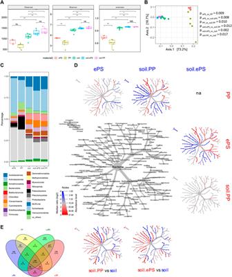 Microplastics in soil induce a new microbial habitat, with consequences for bulk soil microbiomes